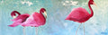 The pink trio